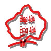blad404